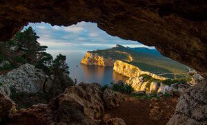 longue vie longue vie