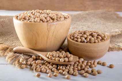 Isoflavones de soja et fructo-oligo-saccharides Isoflavones de soja et fructo-oligo-saccharides